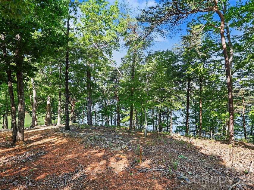 1629 Healing Springs Drive, Denton, NC 27239.  MLS# CAR4362810, YatesRealty ID 18242. 