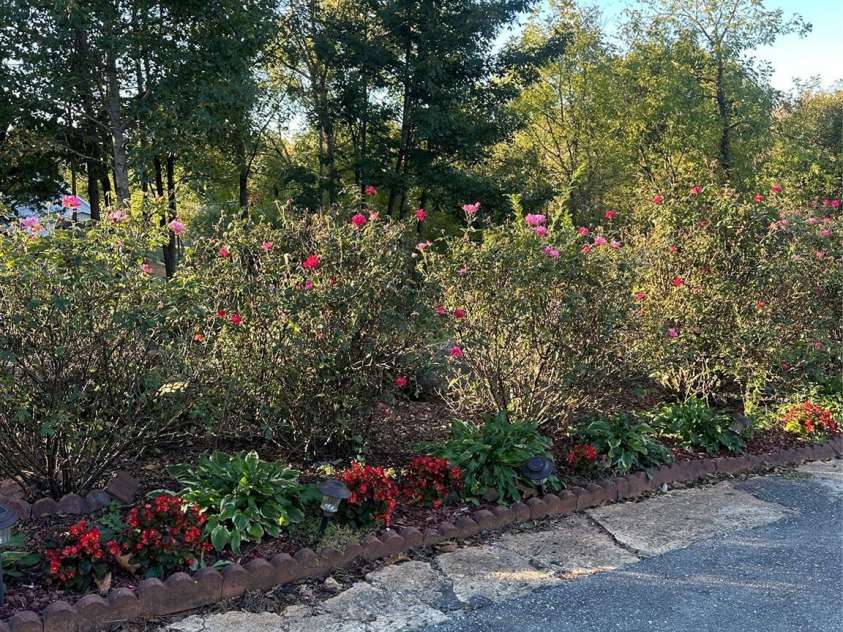 3021 Davis Park Road, Gastonia, NC 28052.  MLS# CAR4178974, YatesRealty ID 1830. 