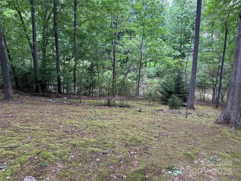 0000 Woodhill Cove Lane, Denver, NC 28037.  MLS# CAR4265882, YatesRealty ID 18334. Cleared area looking towards lake