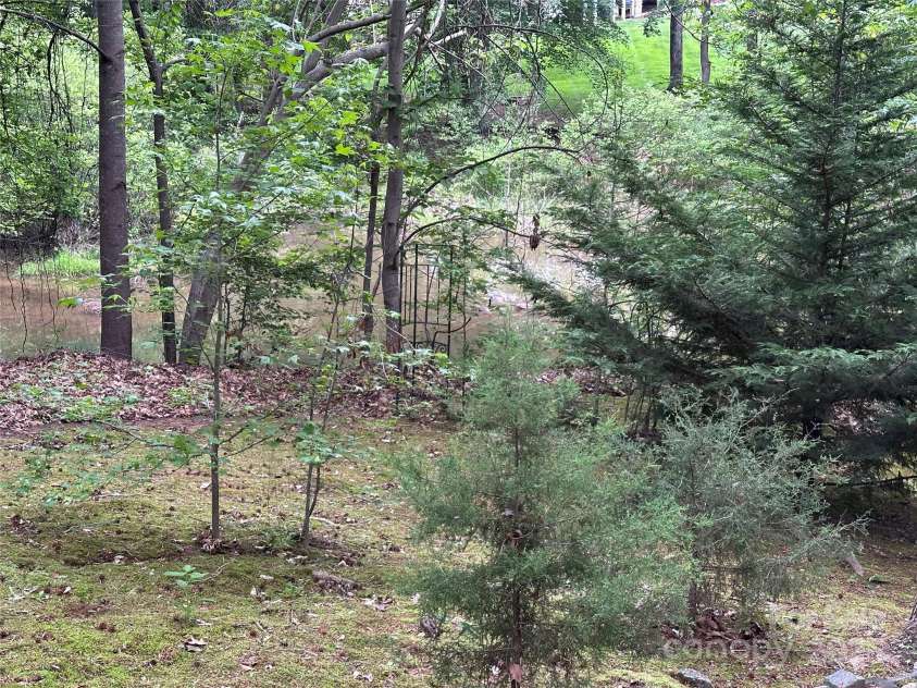 0000 Woodhill Cove Lane, Denver, NC 28037.  MLS# CAR4265882, YatesRealty ID 18334. Creek Front