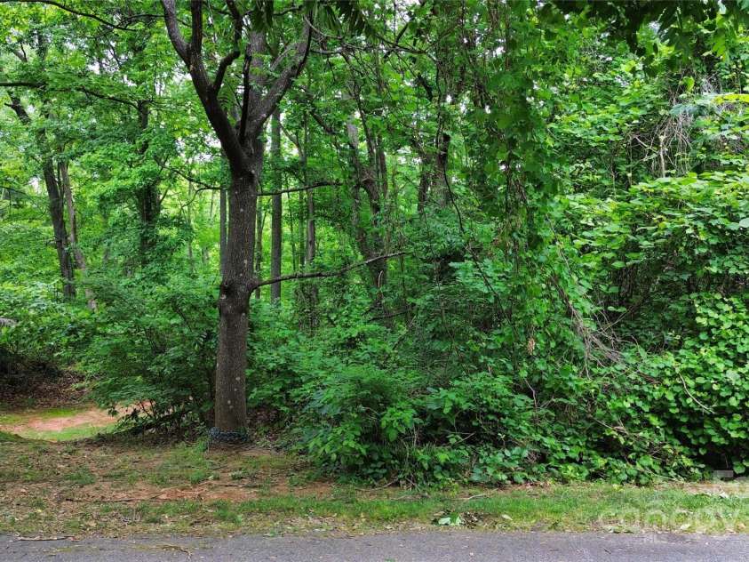 0000 Woodhill Cove Lane, Denver, NC 28037.  MLS# CAR4265882, YatesRealty ID 18334. Lot Road frontage