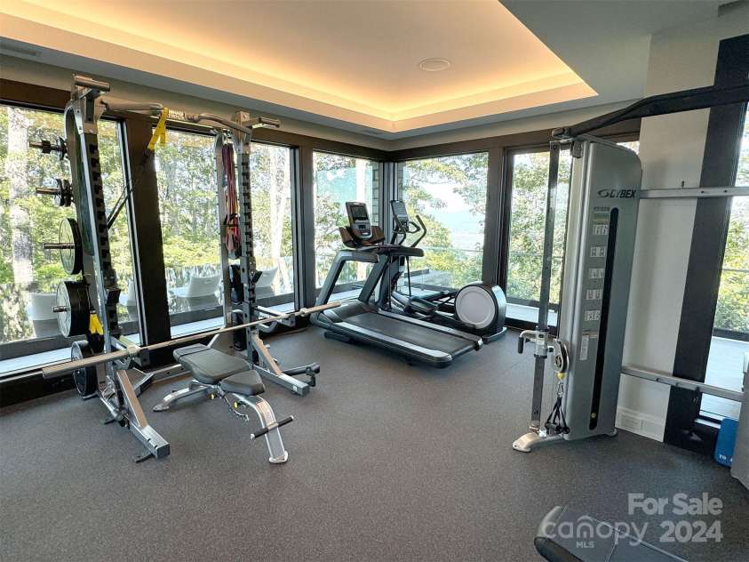 515 Cloud Top Way, Arden, NC 28704.  MLS# CAR4177240, YatesRealty ID 1835. Home Gym
