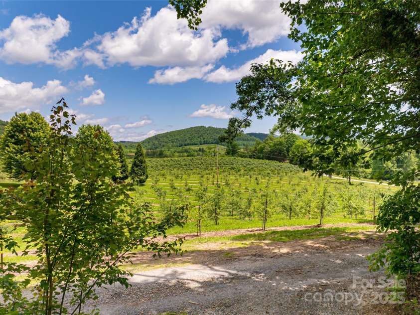 103 Blue Sky Lane, Hendersonville, NC 28792.  MLS# CAR4268920, YatesRealty ID 18359. Beautiful setting to get to house