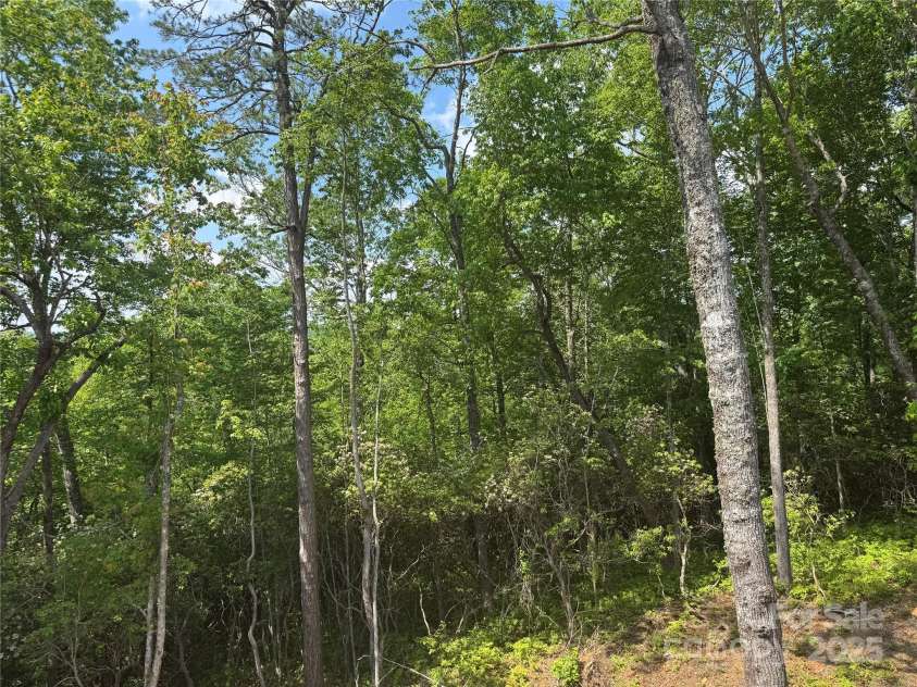 135 Wildwood Way, Lake Toxaway, NC 28747.  MLS# CAR4267132, YatesRealty ID 18363. 