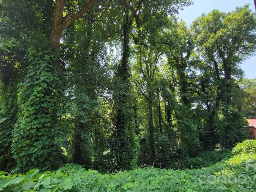 160 Cleveland Road, Tryon, NC 28782.  MLS# CAR4274322, YatesRealty ID 1838. Left lot