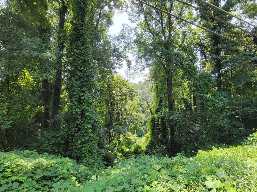 160 Cleveland Road, Tryon, NC 28782.  MLS# CAR4274322, YatesRealty ID 1838. Left lot