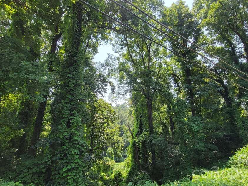 160 Cleveland Road, Tryon, NC 28782.  MLS# CAR4274322, YatesRealty ID 1838. Left lot