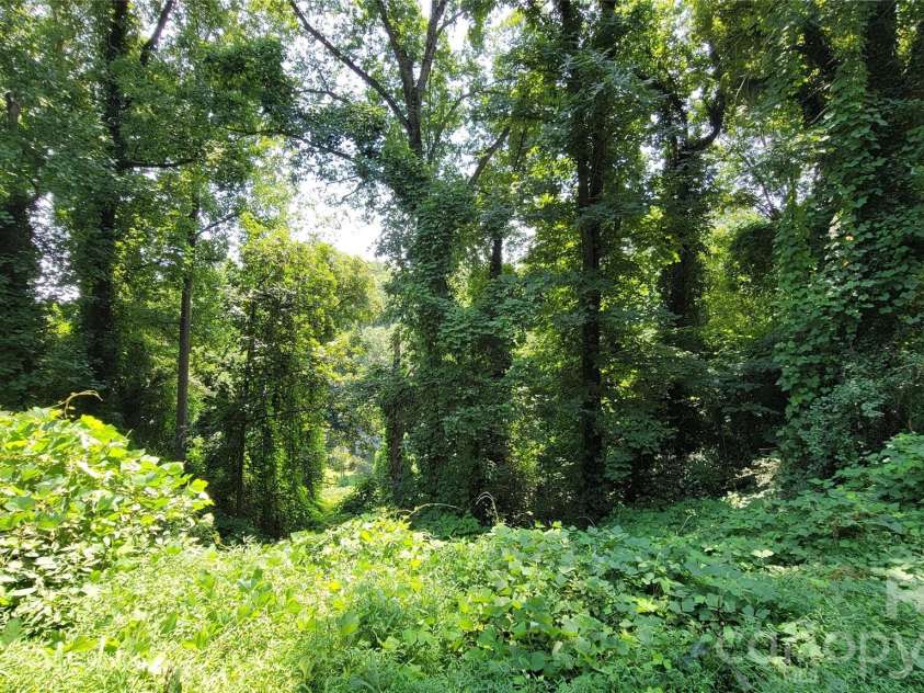 160 Cleveland Road, Tryon, NC 28782.  MLS# CAR4274322, YatesRealty ID 1838. Left lot
