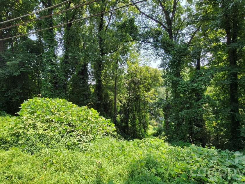 160 Cleveland Road, Tryon, NC 28782.  MLS# CAR4274322, YatesRealty ID 1838. Left lot