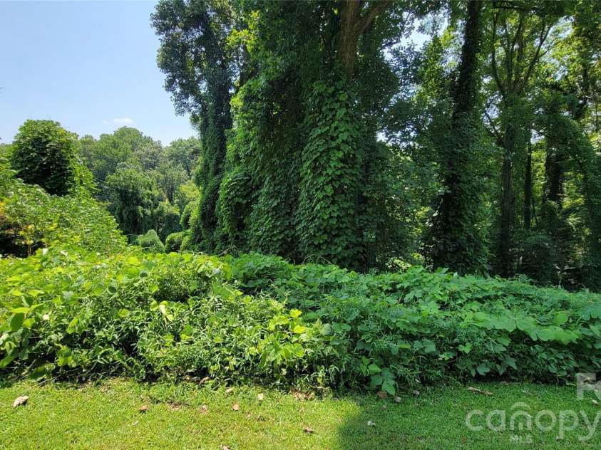 160 Cleveland Road, Tryon, NC 28782.  MLS# CAR4274322, YatesRealty ID 1838. Left lot