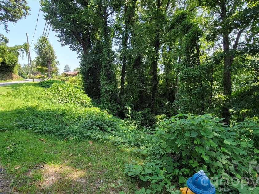 160 Cleveland Road, Tryon, NC 28782.  MLS# CAR4274322, YatesRealty ID 1838. Left lot from parking