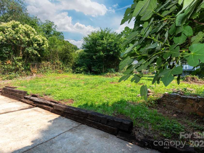 2628 Clydesdale Terrace, Charlotte, NC 28208.  MLS# CAR4267702, YatesRealty ID 18388. Backyard with fig tree