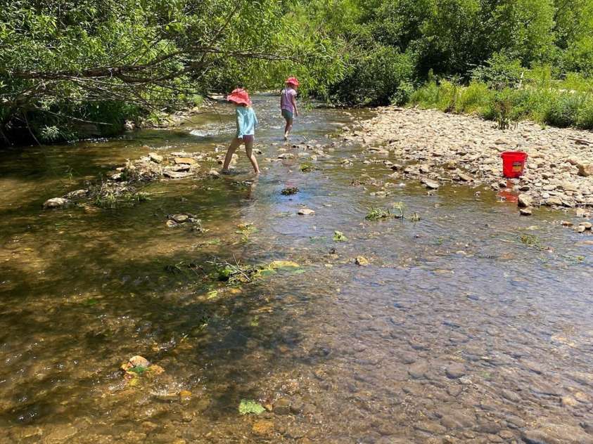 721 Kuenzel Eller Drive, Millers Creek, NC 28651.  MLS# CAR4179124, YatesRealty ID 184. Lovely Summer Day along the River