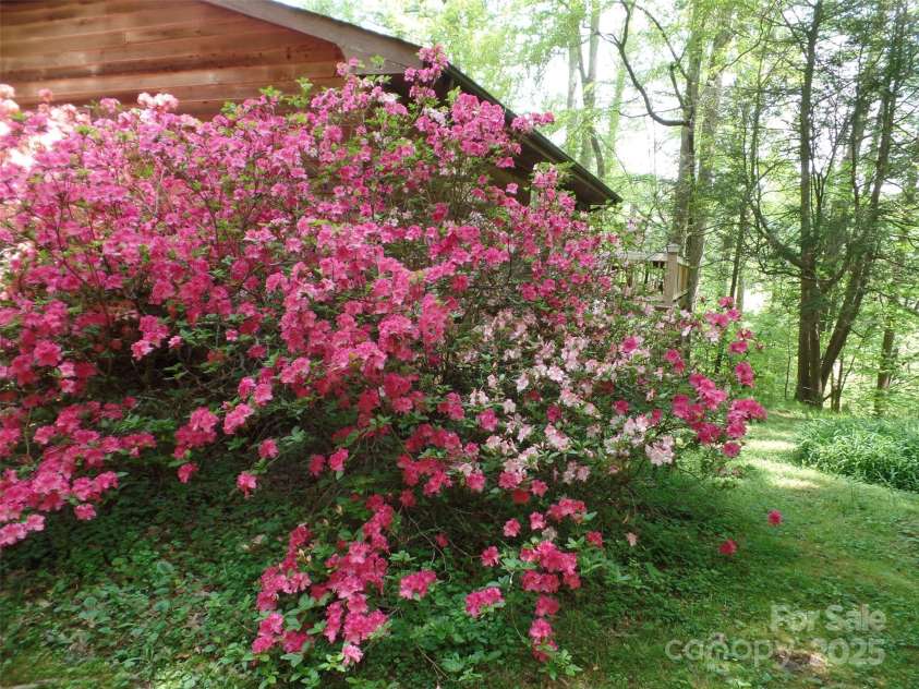 721 Kuenzel Eller Drive, Millers Creek, NC 28651.  MLS# CAR4179124, YatesRealty ID 184. View of Back Deck in distance.