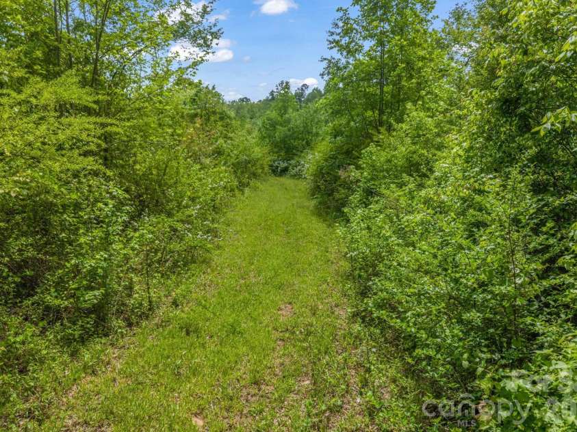 288 Maypole Court, Forest City, NC 28043.  MLS# CAR4308136, YatesRealty ID 18401. Trails