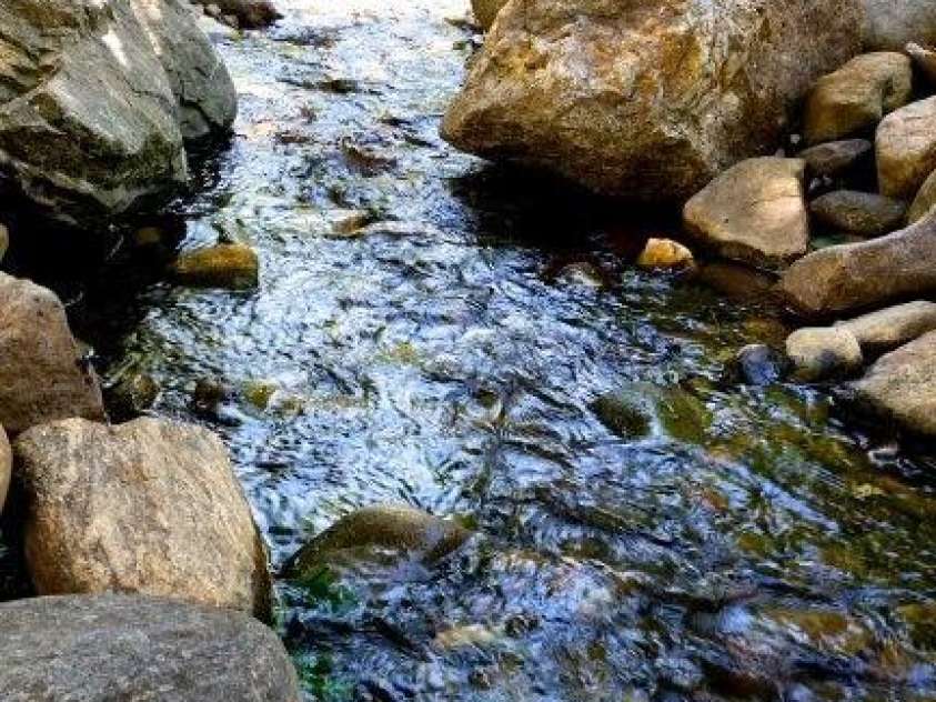 21 Craftsman Overlook Ridge, Arden, NC 28704.  MLS# CAR4007643, YatesRealty ID 18407. Water feature at Community gate. 