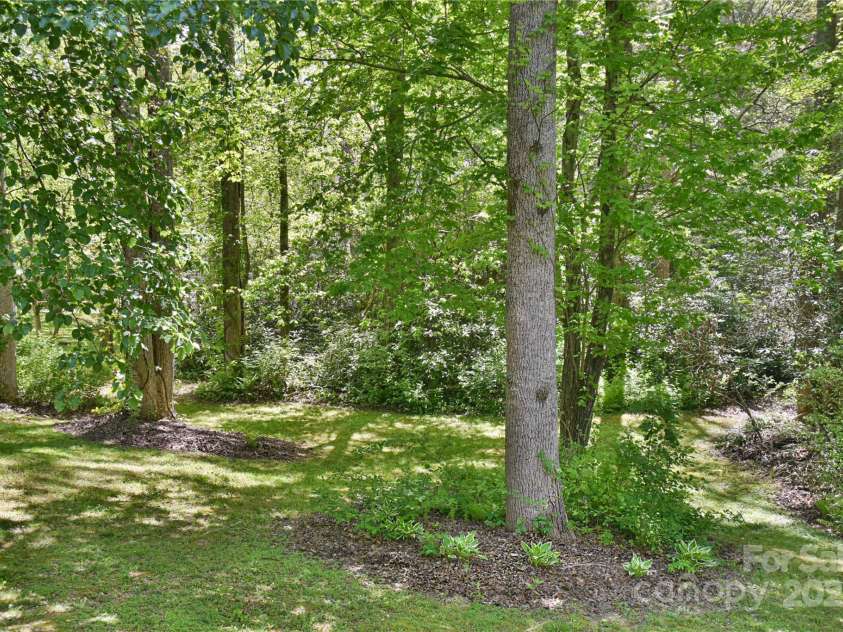 145 Fox Glen Drive, Arden, NC 28704.  MLS# CAR4134713, YatesRealty ID 18409. Nicely landscaped side yard
