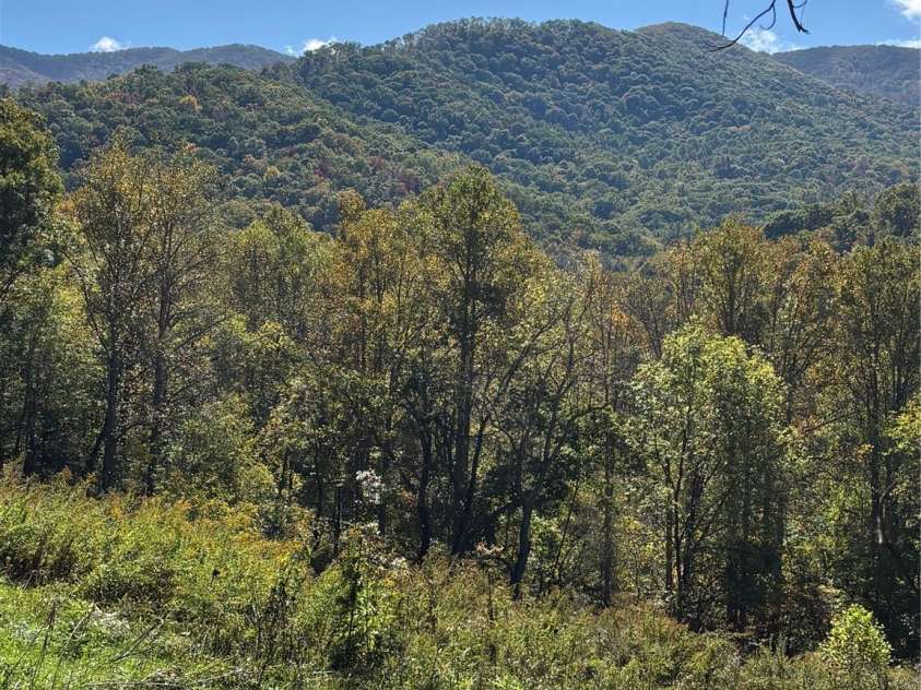 000 Cook Cove Road, Weaverville, NC 28787.  MLS# CAR4327068, YatesRealty ID 1845. 