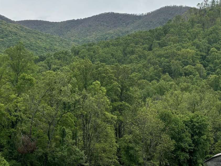 000 Cook Cove Road, Weaverville, NC 28787.  MLS# CAR4327068, YatesRealty ID 1845. 