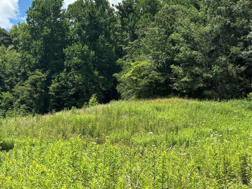 000 Cook Cove Road, Weaverville, NC 28787.  MLS# CAR4327068, YatesRealty ID 1845. 