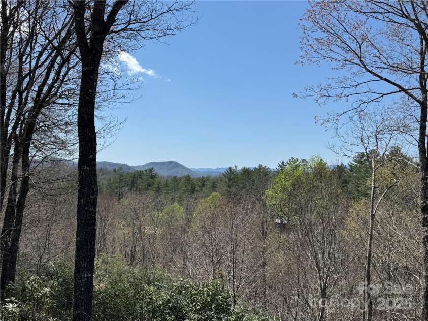 193 Dvdisdi Court, Brevard, NC 28712.  MLS# CAR4243371, YatesRealty ID 18469. 