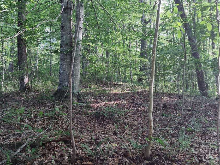 7881 US 25/70 Highway, Marshall, NC 28753.  MLS# CAR4257873, YatesRealty ID 18474. Nice upper acreage