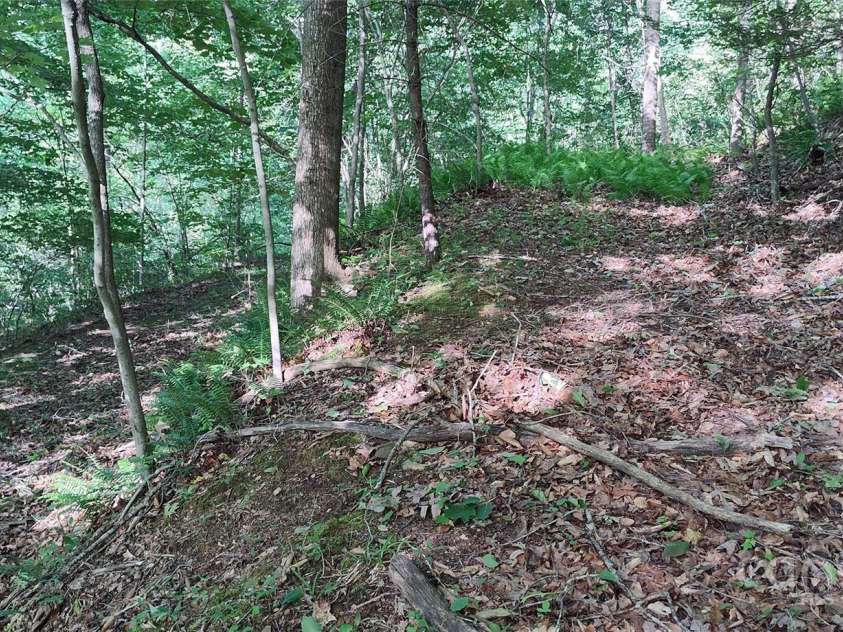 7881 US 25/70 Highway, Marshall, NC 28753.  MLS# CAR4257873, YatesRealty ID 18474. Path continues above and behind current home to potential new homesite