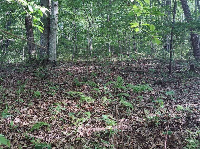 7881 US 25/70 Highway, Marshall, NC 28753.  MLS# CAR4257873, YatesRealty ID 18474. Potential homesite above and behind current home