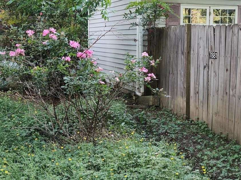 7881 US 25/70 Highway, Marshall, NC 28753.  MLS# CAR4257873, YatesRealty ID 18474. Side yard view