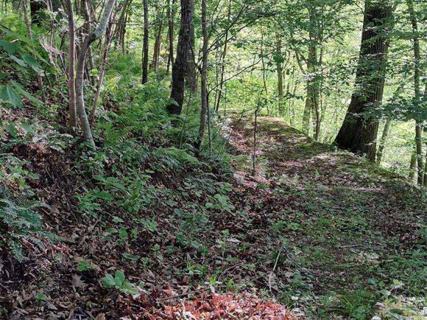 7881 US 25/70 Highway, Marshall, NC 28753.  MLS# CAR4257873, YatesRealty ID 18474. Trail to upper property