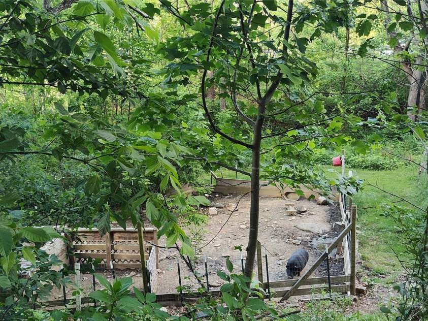 7881 US 25/70 Highway, Marshall, NC 28753.  MLS# CAR4257873, YatesRealty ID 18474. View from upper property