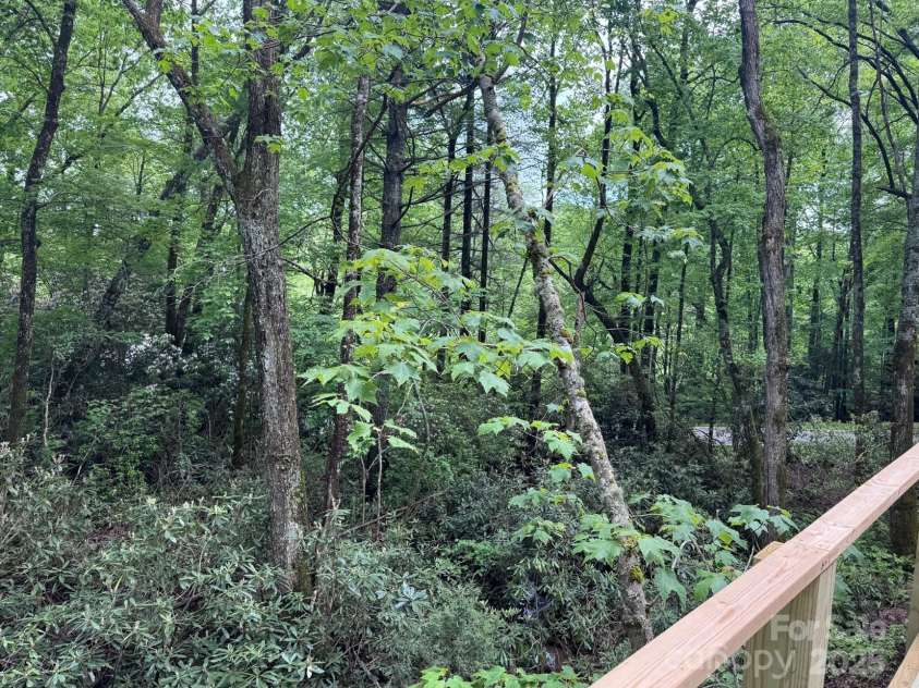 88 Lost Trail, Highlands, NC 28741.  MLS# CAR4260477, YatesRealty ID 18487. Back Yard