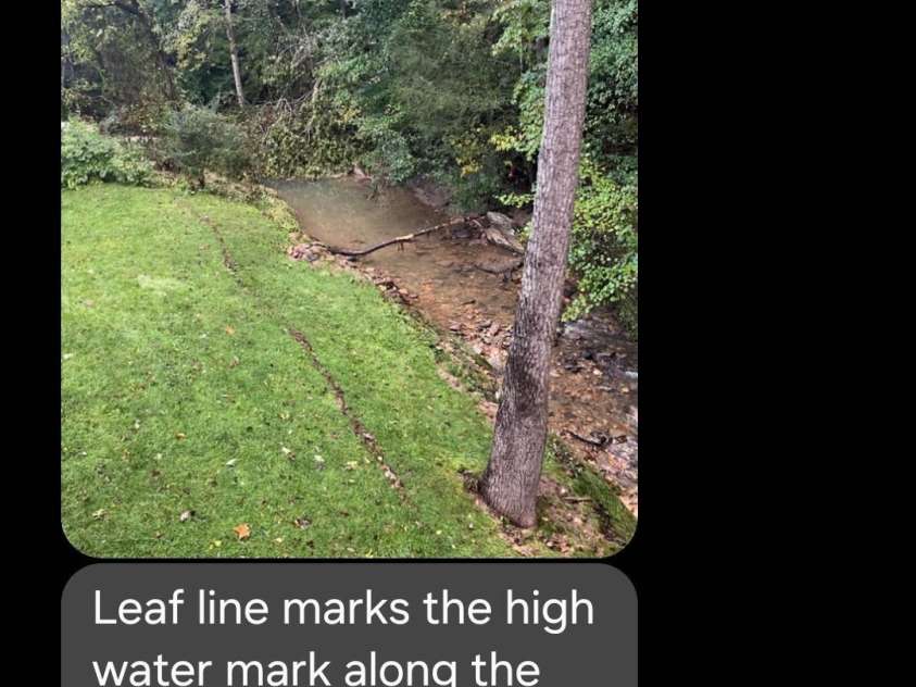 689 New Haw Creek Road, Asheville, NC 28805.  MLS# CAR4251121, YatesRealty ID 18491. Leaf water line from Helene. No water intrusion. No Flood insurance required.