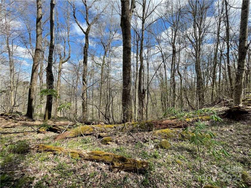 1375 Swing Road, Burnsville, NC 28714.  MLS# CAR4131042, YatesRealty ID 185. 