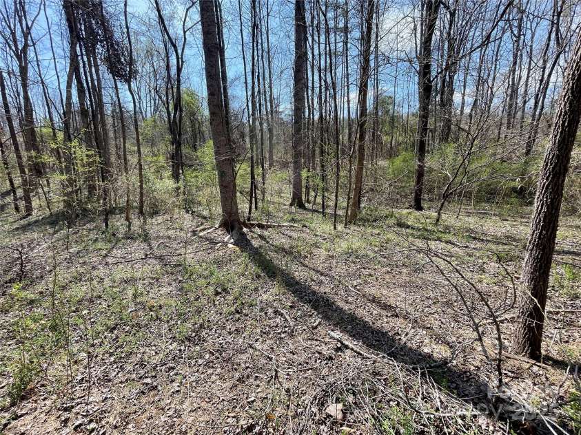 576 Grays Creek Church Road, Rutherfordton, NC 28139.  MLS# CAR4240567, YatesRealty ID 18504. Hardwoods