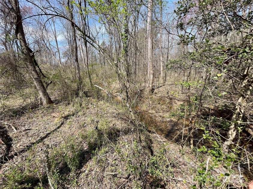 576 Grays Creek Church Road, Rutherfordton, NC 28139.  MLS# CAR4240567, YatesRealty ID 18504. Hardwoods and stream