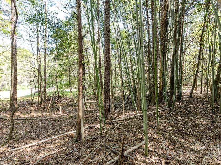 9009 Quail Roost Drive, Waxhaw, NC 28173.  MLS# CAR4239665, YatesRealty ID 18509. 