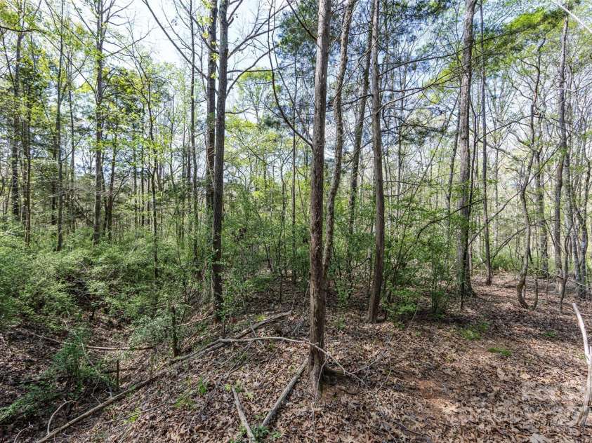 9009 Quail Roost Drive, Waxhaw, NC 28173.  MLS# CAR4239665, YatesRealty ID 18509. 