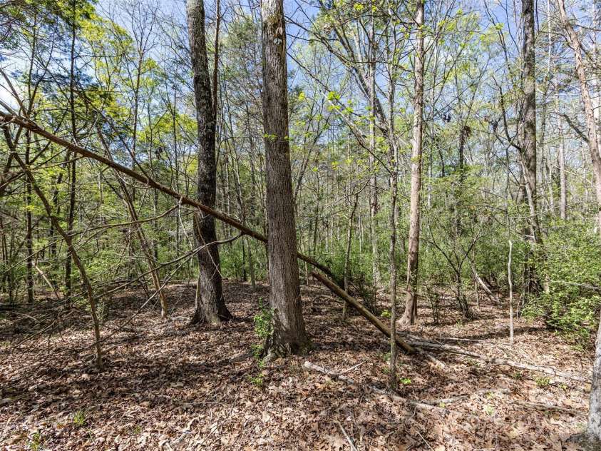 9009 Quail Roost Drive, Waxhaw, NC 28173.  MLS# CAR4239665, YatesRealty ID 18509. 