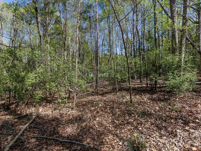 9009 Quail Roost Drive, Waxhaw, NC 28173.  MLS# CAR4239665, YatesRealty ID 18509. 