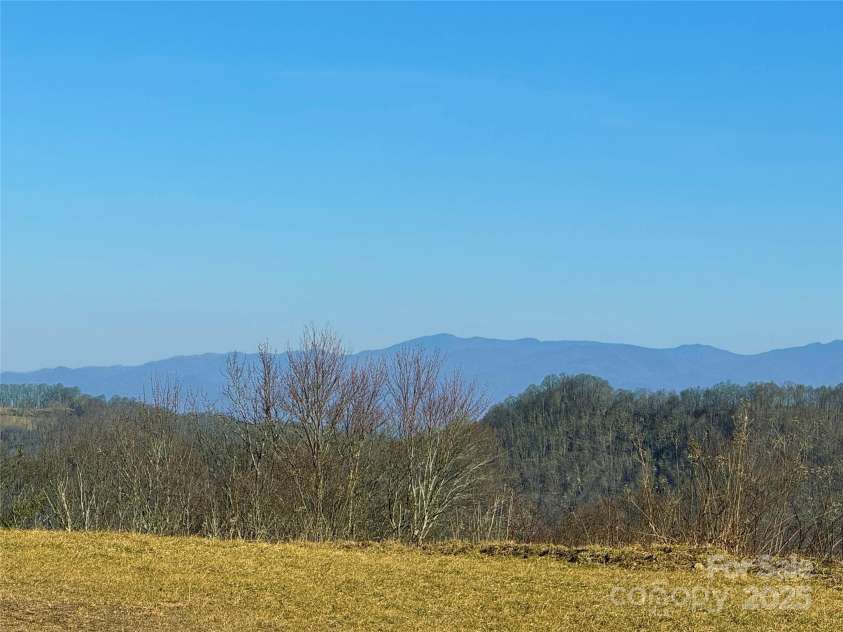 1201 & 1540 Baker Branch Lane, Marshall, NC 28753.  MLS# CAR4220175, YatesRealty ID 18539. Standing at Barn