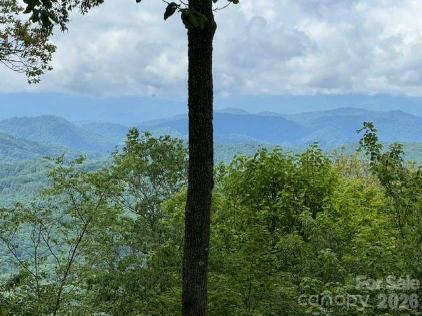 34 Wolfs Head Court, Mars Hill, NC 28754.  MLS# CAR4359563, YatesRealty ID 18544. 