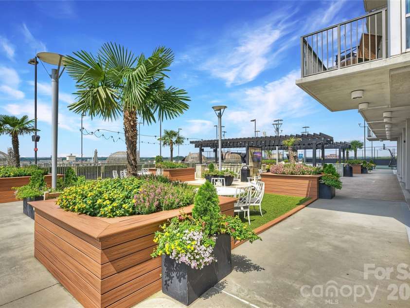 215 Pine Street, Charlotte, NC 28202.  MLS# CAR4186939, YatesRealty ID 18554. 35,000 sq. ft. resort-style amenity deck