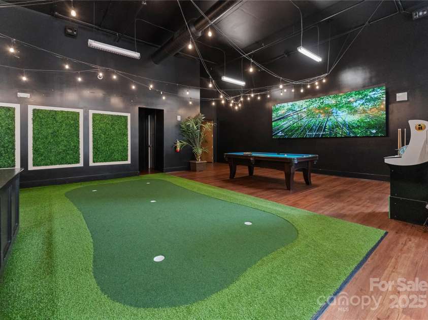 215 Pine Street, Charlotte, NC 28202.  MLS# CAR4294172, YatesRealty ID 18554. Golf Simulator
