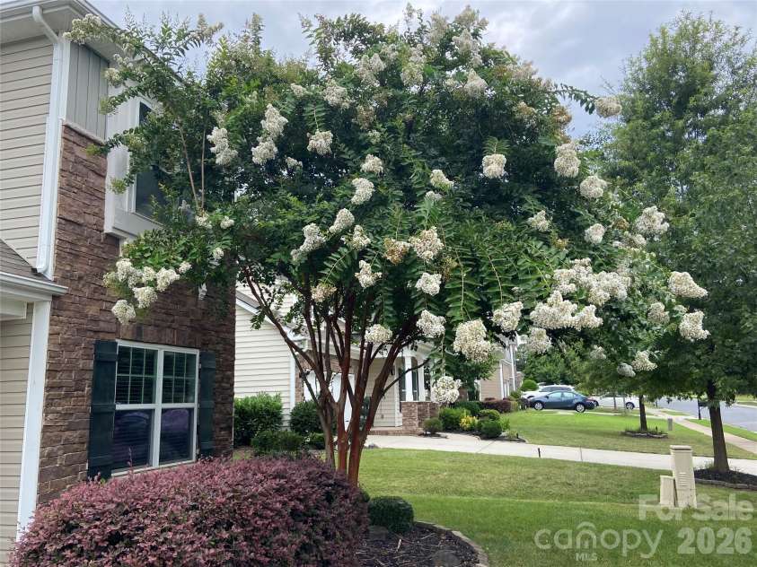 6111 Berewick Commons Parkway, Charlotte, NC 28278.  MLS# CAR4343287, YatesRealty ID 18565. 