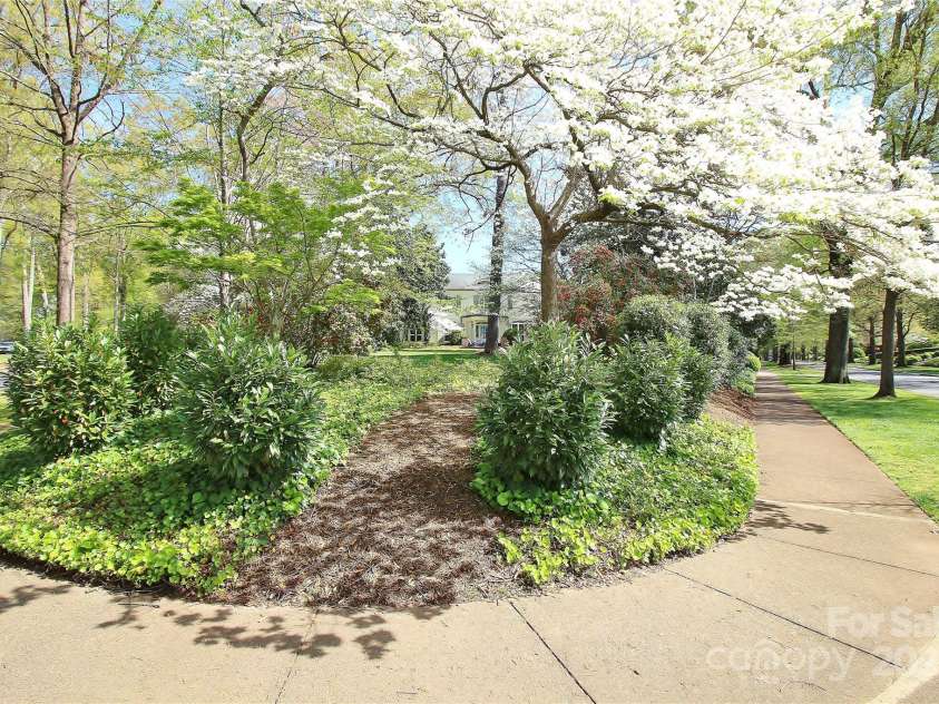 1137 Queens Road, Charlotte, NC 28207.  MLS# CAR4269020, YatesRealty ID 18596. 