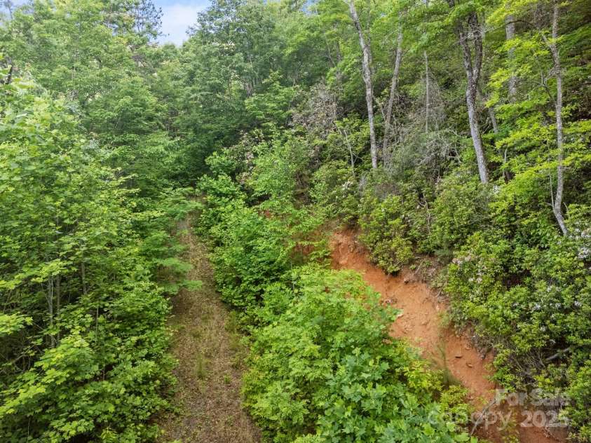 10 Turkey Trot Trail, Sylva, NC 28779.  MLS# CAR4268592, YatesRealty ID 18627. 