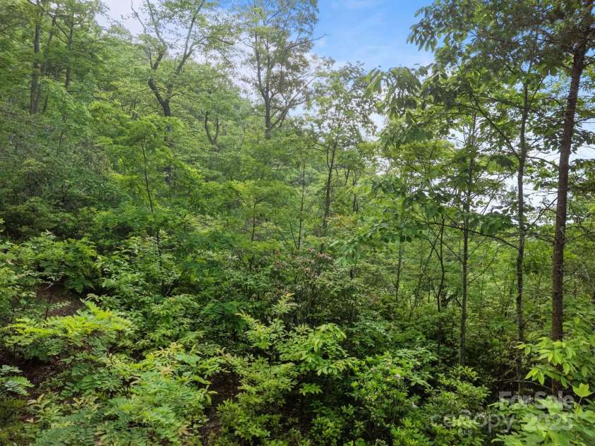 10 Turkey Trot Trail, Sylva, NC 28779.  MLS# CAR4268592, YatesRealty ID 18627. 