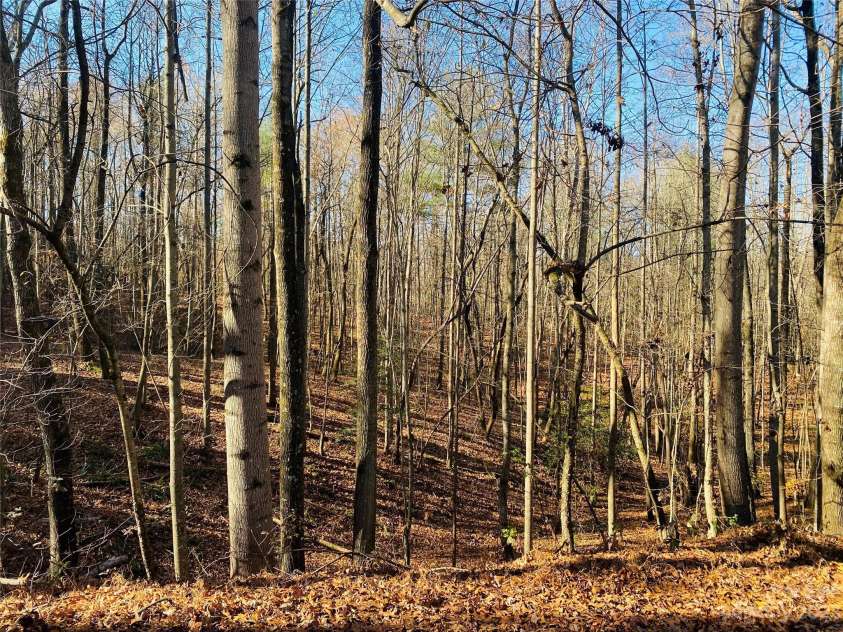 187 Newland Lane, Statesville, NC 28625.  MLS# CAR4092522, YatesRealty ID 1864. 