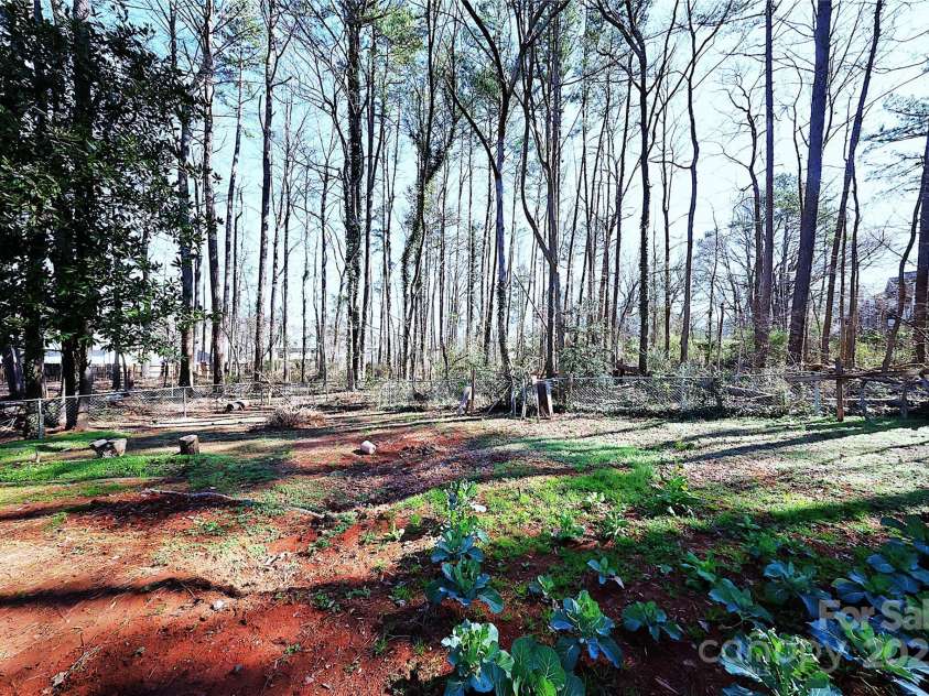 6245 Snowcrest Court, Charlotte, NC 28212.  MLS# CAR4232877, YatesRealty ID 1867. 